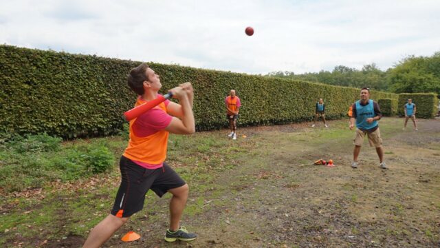 match de baseball, family day