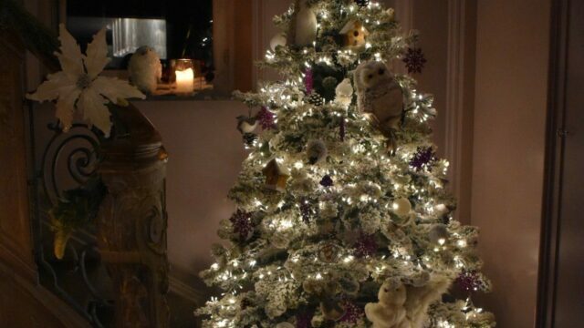 Christmas party pour la fête du personnel d'un cabinet d'avocats