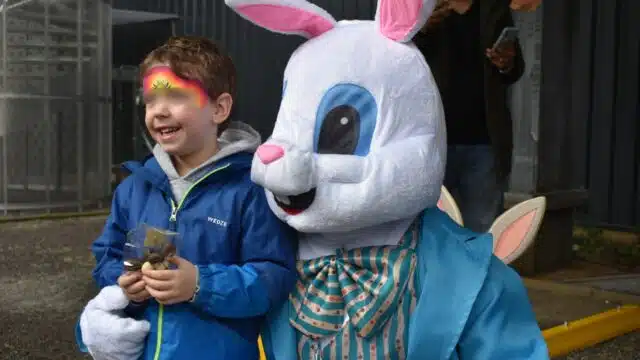 Voor een paasfeest van het bedrijf deelde een mascotte van de paashaas chocolaatjes uit aan de kinderen.